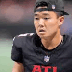 Falcons Lepas